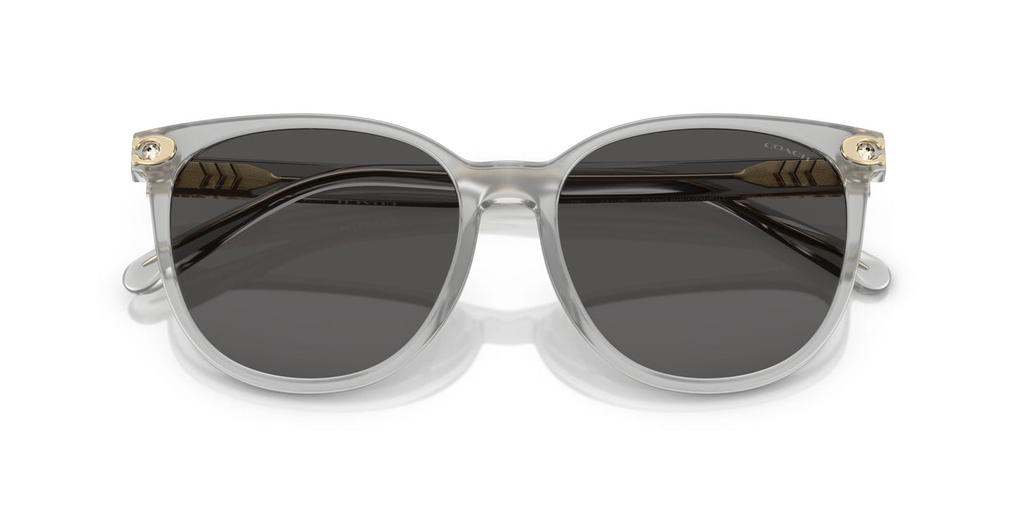 0HC8414BD-Injected Woman Sunglass-Transparent Dove