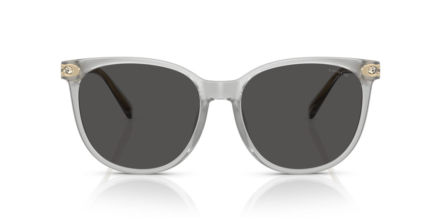 0HC8414BD-Injected Woman Sunglass-Transparent Dove