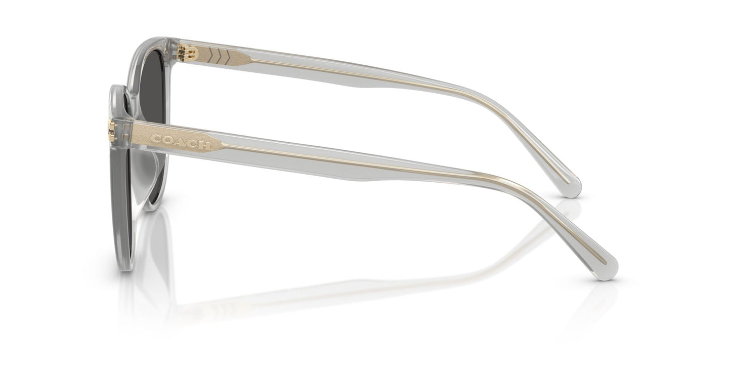 0HC8414BD-Injected Woman Sunglass-Transparent Dove
