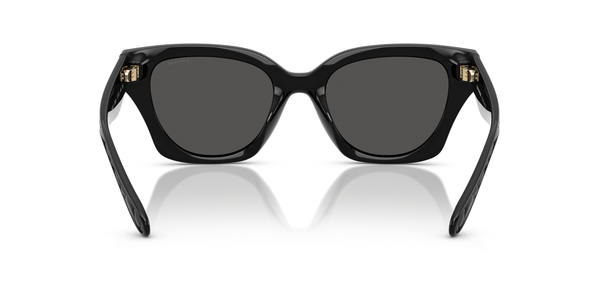 0HC8418U-Coach Sunwear-Black