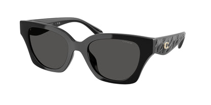 0HC8418U-Coach Sunwear-Black