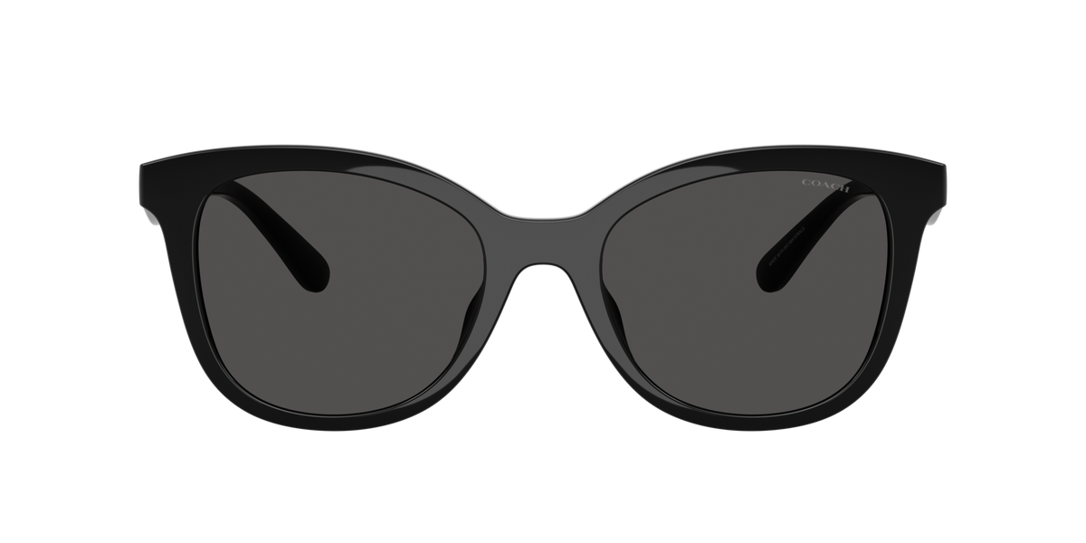 0HC8419U-Coach Sunwear-Black