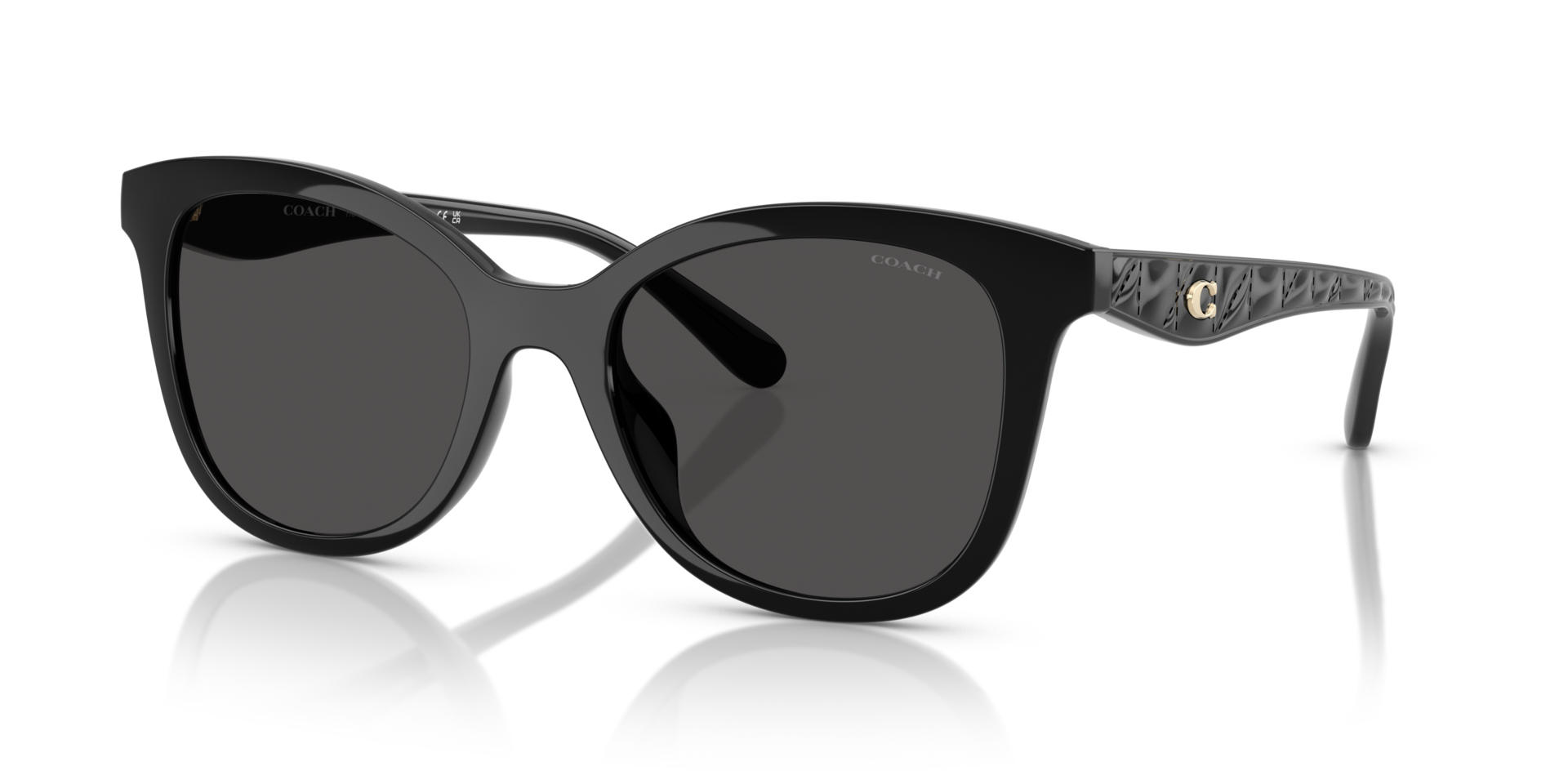 0HC8419U-Coach Sunwear-Black