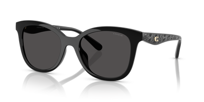 0HC8419U-Coach Sunwear-Black