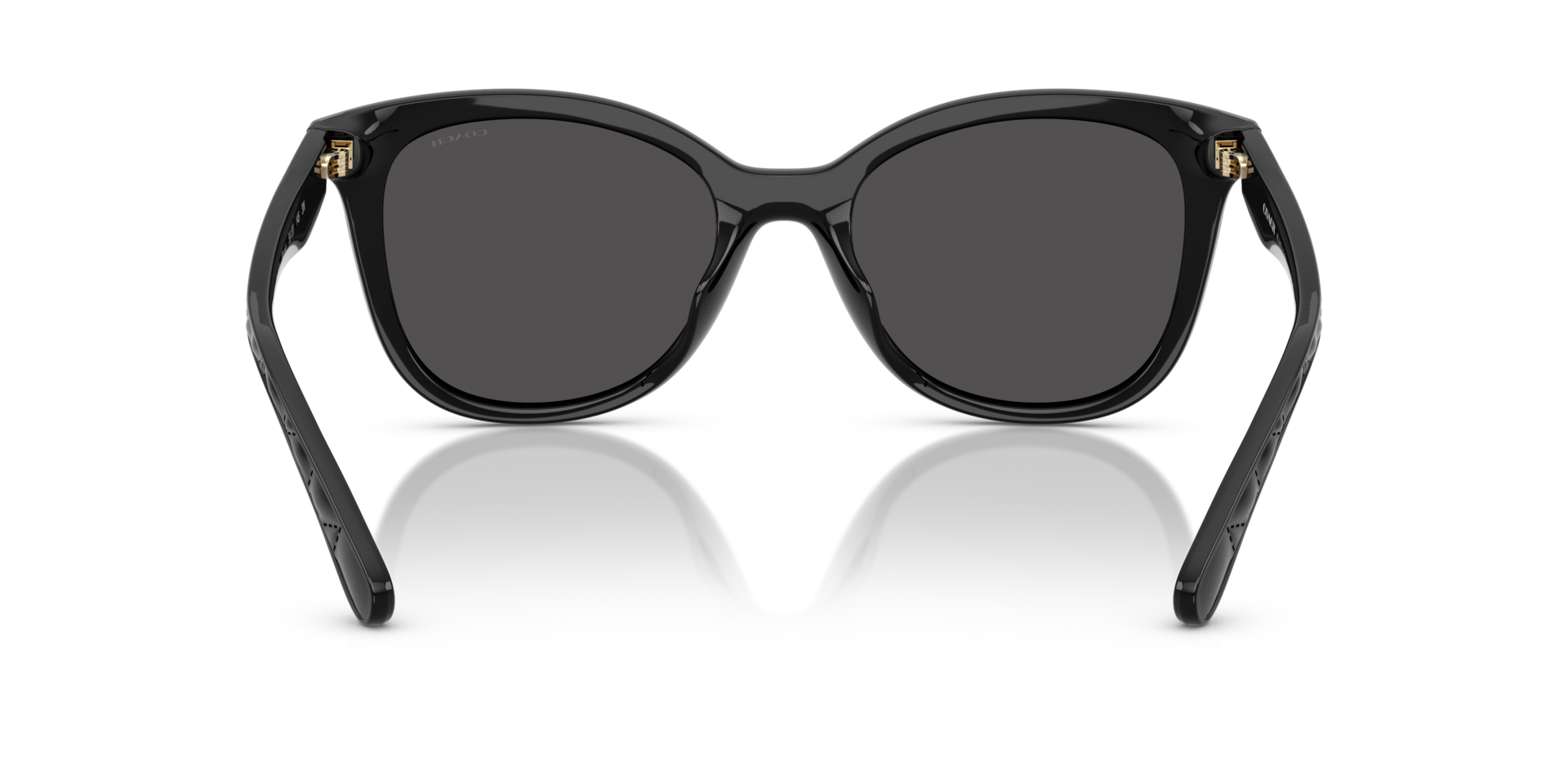 0HC8419U-Coach Sunwear-Black