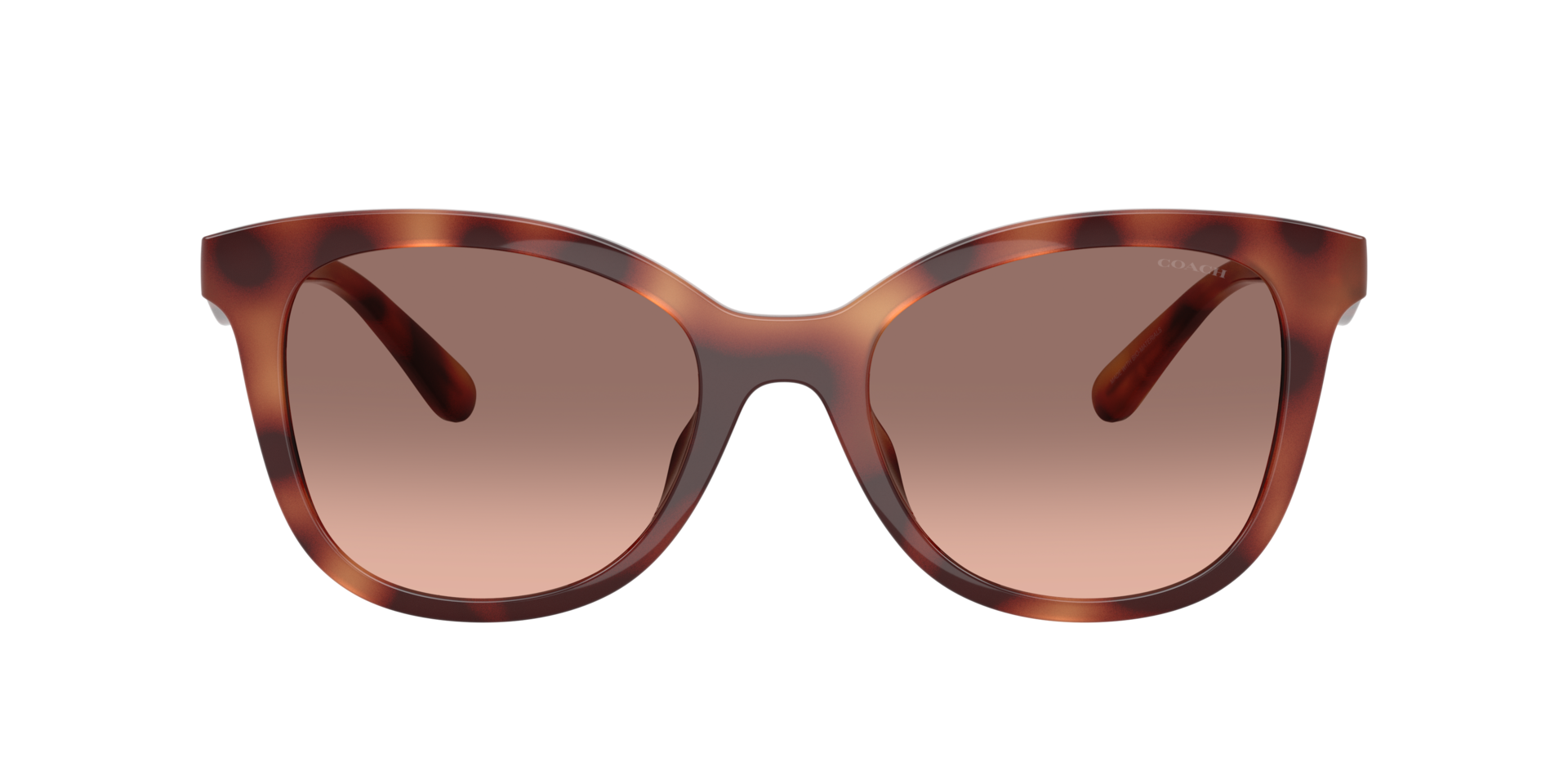 0HC8419U-Coach Sunwear-Caramel Tortoise