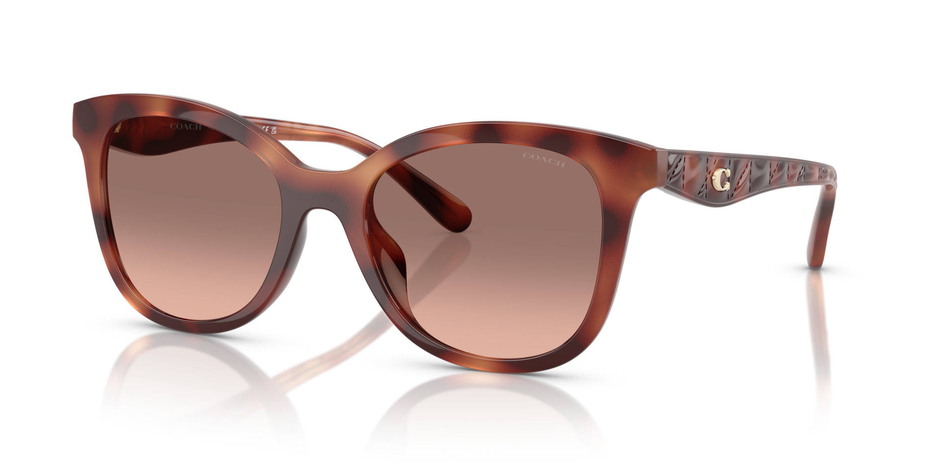0HC8419U-Coach Sunwear-Caramel Tortoise