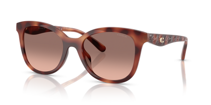 0HC8419U-Coach Sunwear-Caramel Tortoise