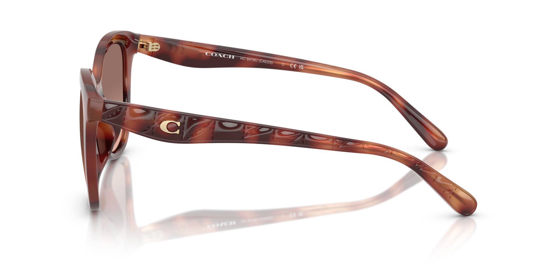 0HC8419U-Coach Sunwear-Caramel Tortoise