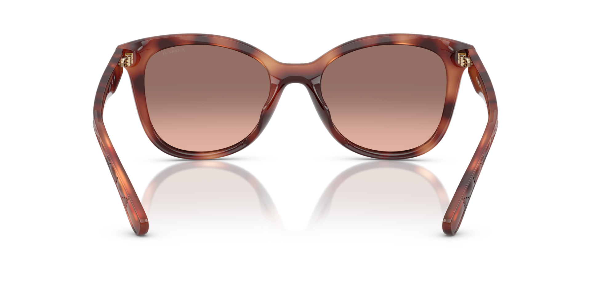 0HC8419U-Coach Sunwear-Caramel Tortoise