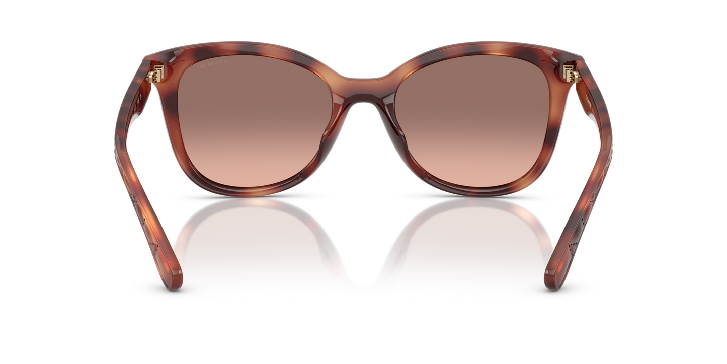0HC8419U-Coach Sunwear-Caramel Tortoise