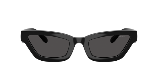 0HC8420U-Coach Sunwear-Black