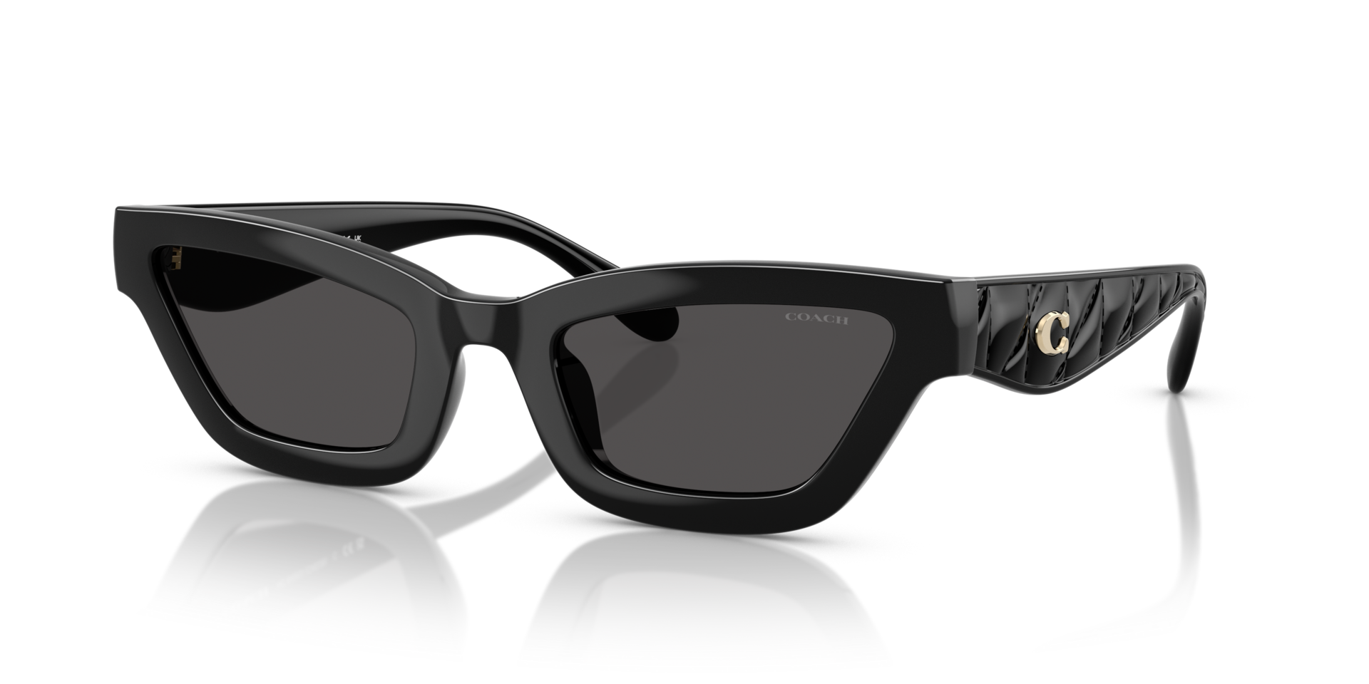 0HC8420U-Coach Sunwear-Black