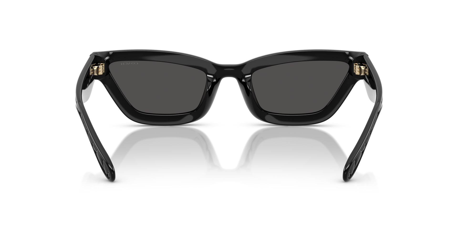 0HC8420U-Coach Sunwear-Black