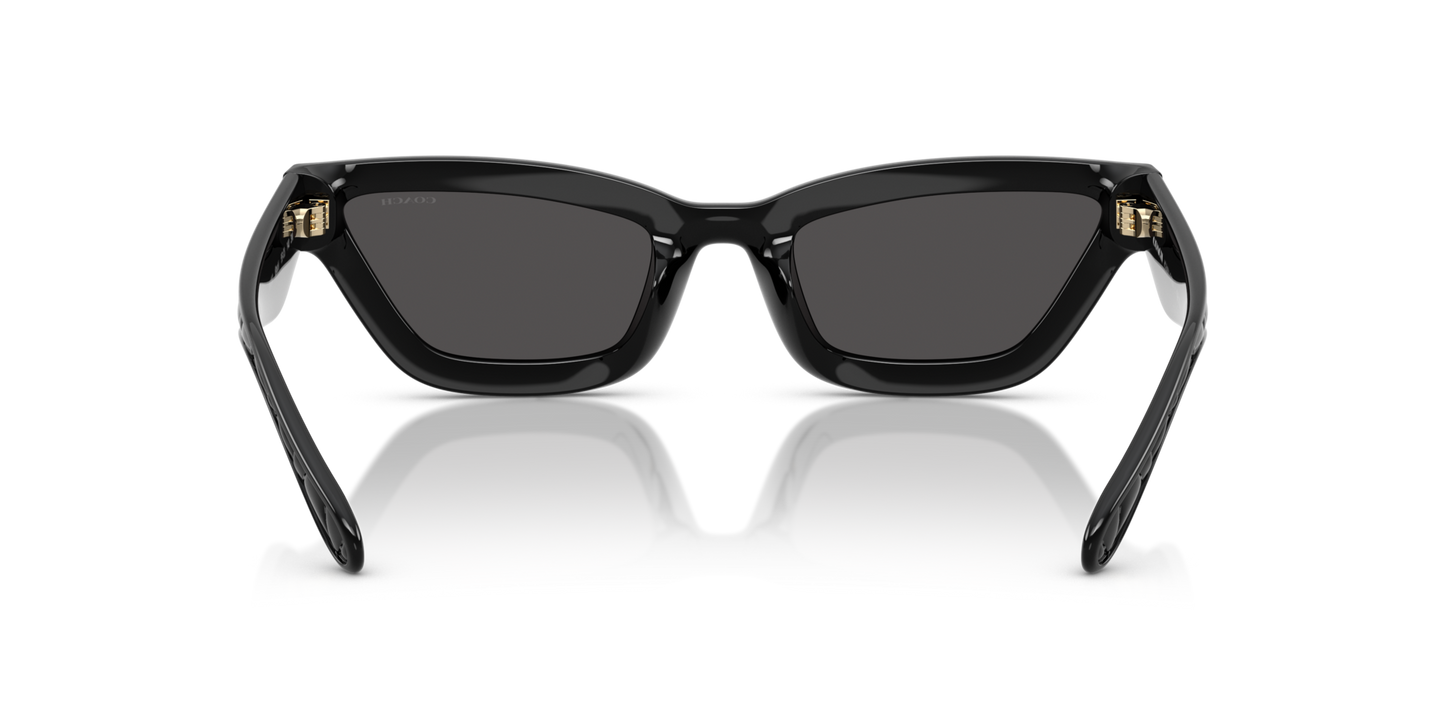 0HC8420U-Coach Sunwear-Black