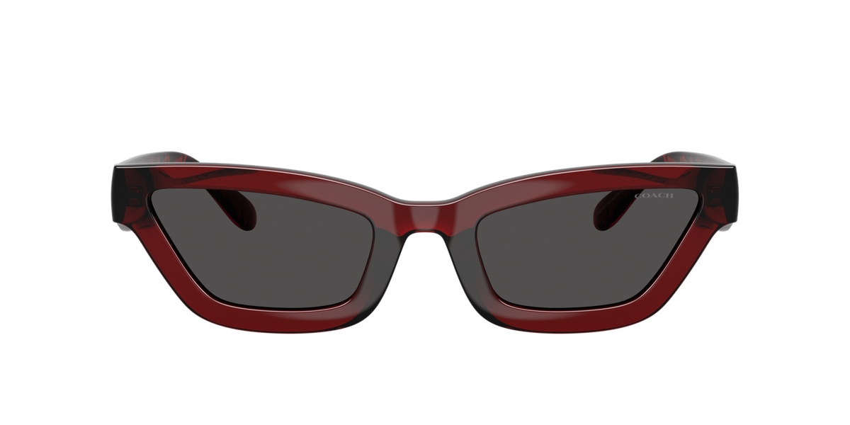 0HC8420U-Coach Sunwear-Transparent Deep Red