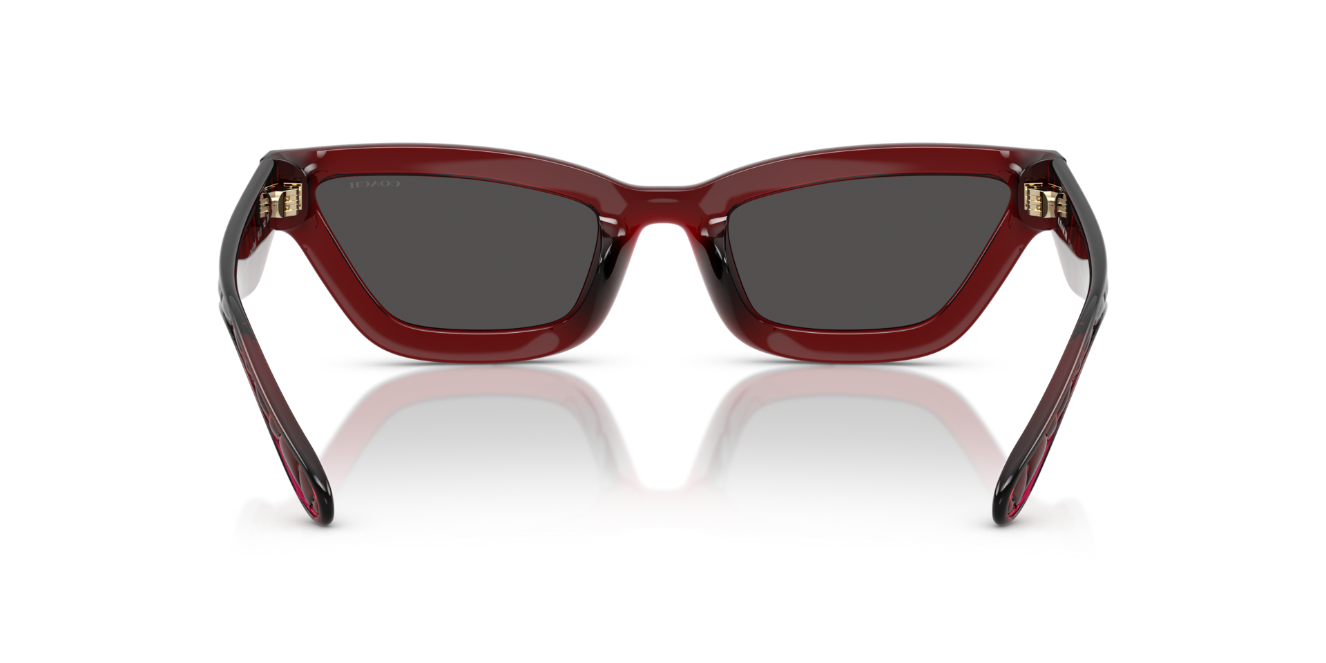 0HC8420U-Coach Sunwear-Transparent Deep Red