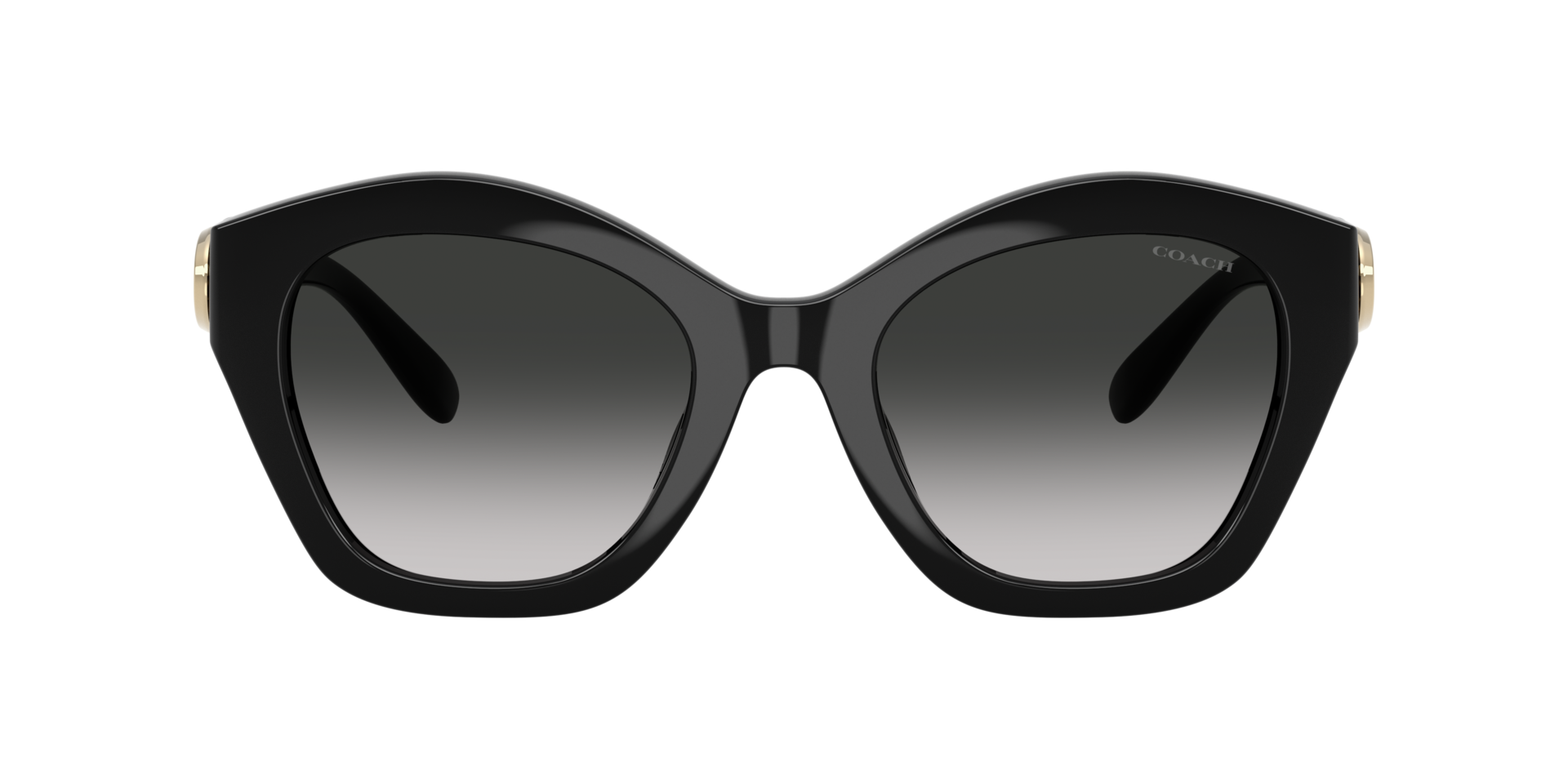 0HC8421U-Coach Sunwear-Black