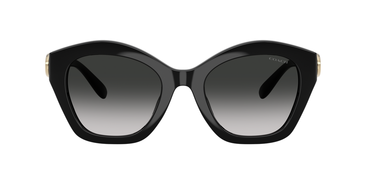 0HC8421U-Coach Sunwear-Black