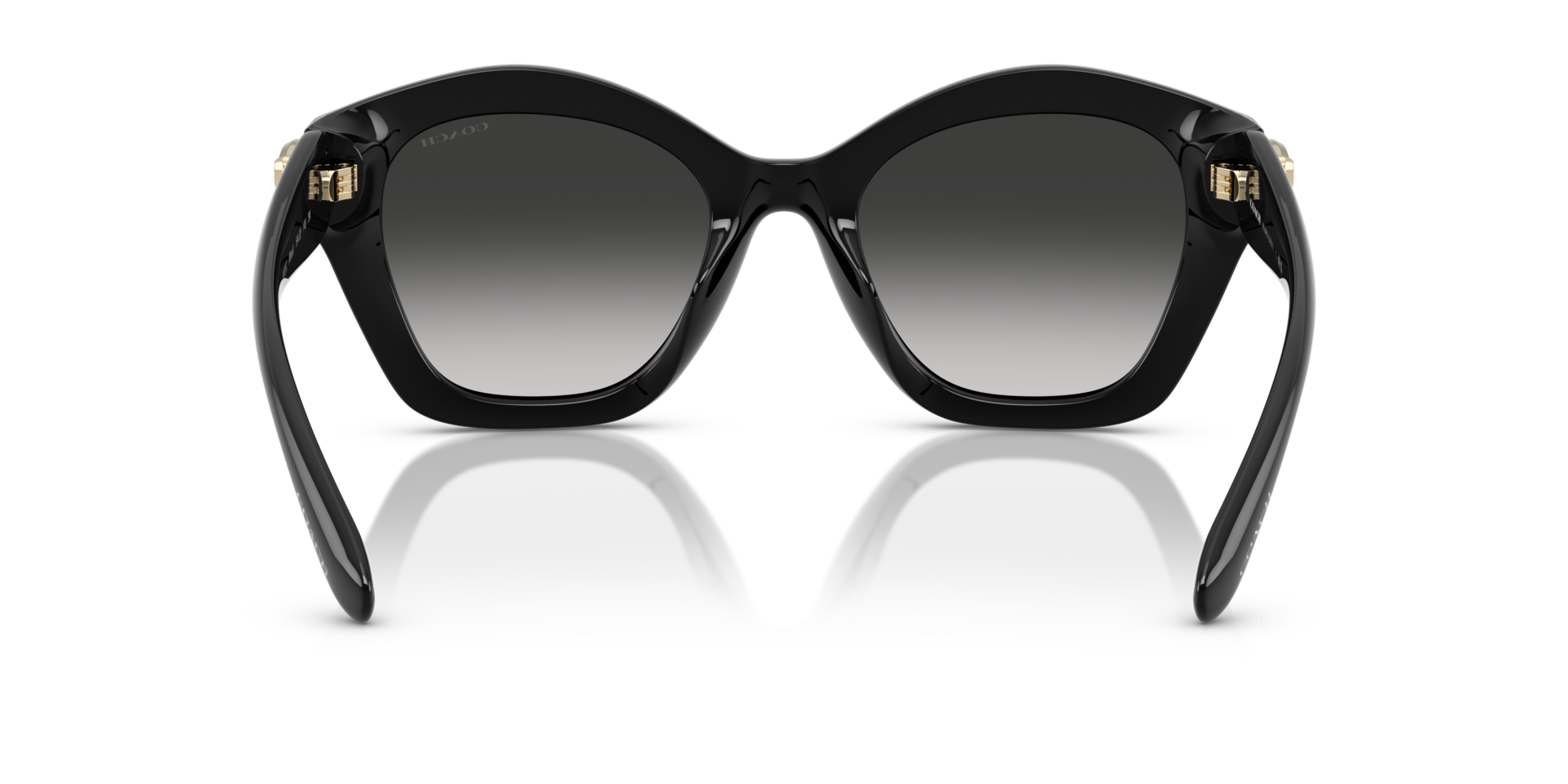 0HC8421U-Coach Sunwear-Black