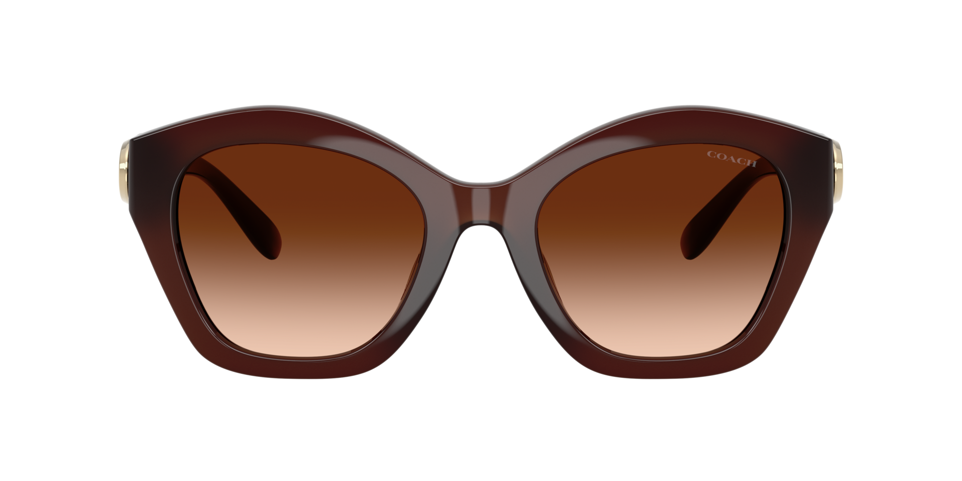 0HC8421U-Coach Sunwear-Milky Hazelnut