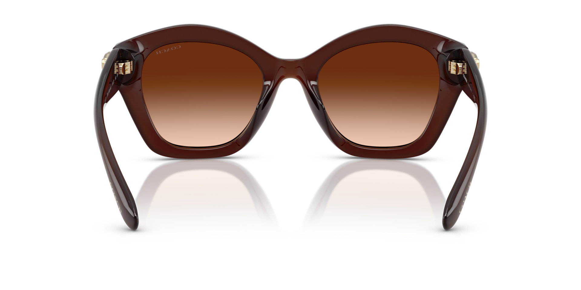 0HC8421U-Coach Sunwear-Milky Hazelnut