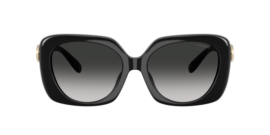 0HC8422U-Coach Sunwear-Black