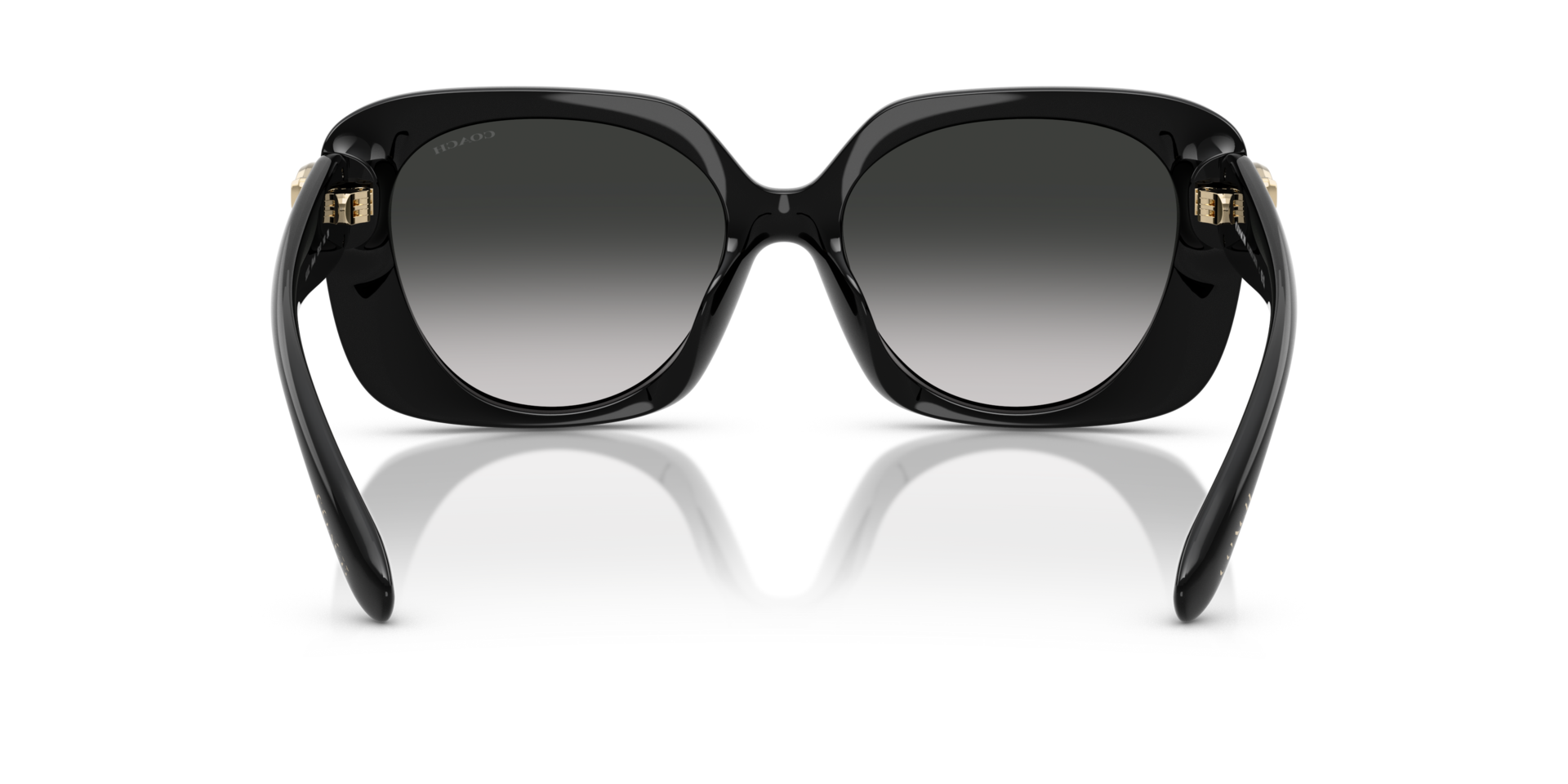 0HC8422U-Coach Sunwear-Black