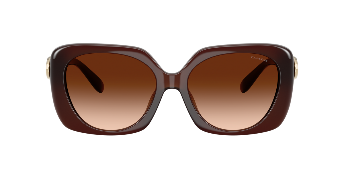 0HC8422U-Coach Sunwear-Milky Hazelnut