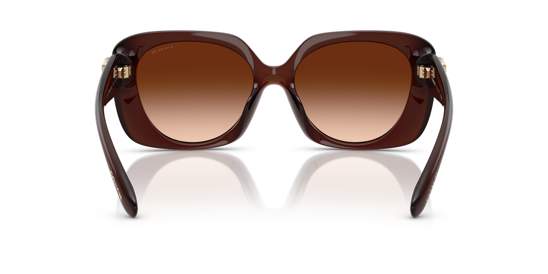 0HC8422U-Coach Sunwear-Milky Hazelnut