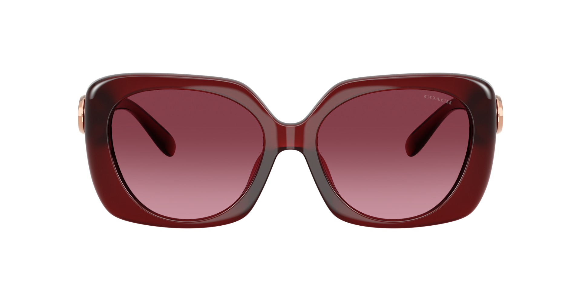 0HC8422U-Coach Sunwear-Milky Burgundy