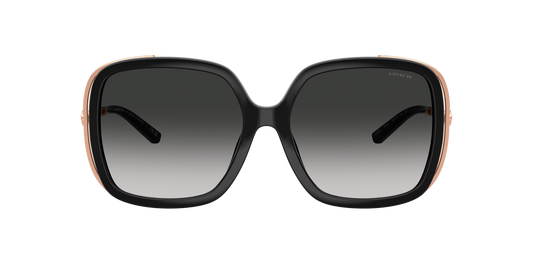 0HC8423U-Coach Sunwear-Black