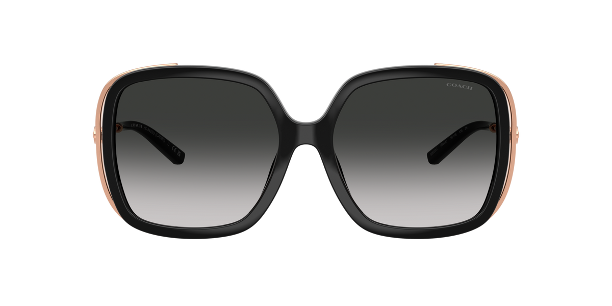 0HC8423U-Coach Sunwear-Black