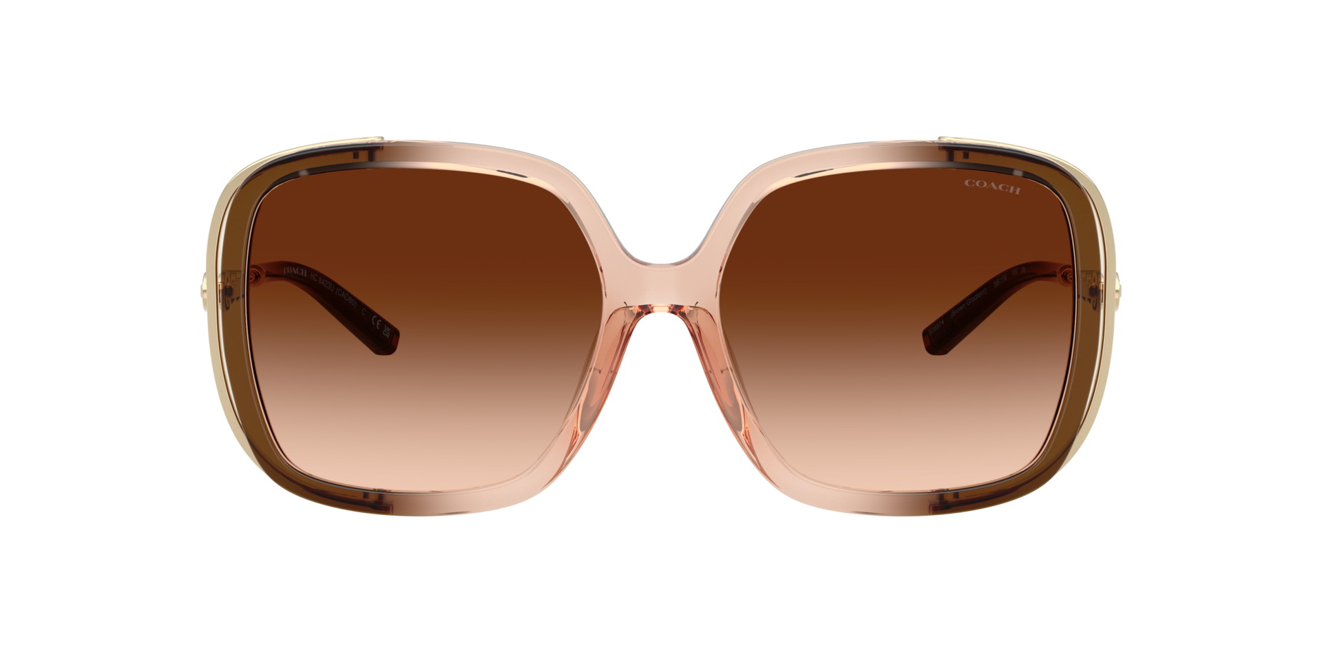0HC8423U-Coach Sunwear-Brown Gradient
