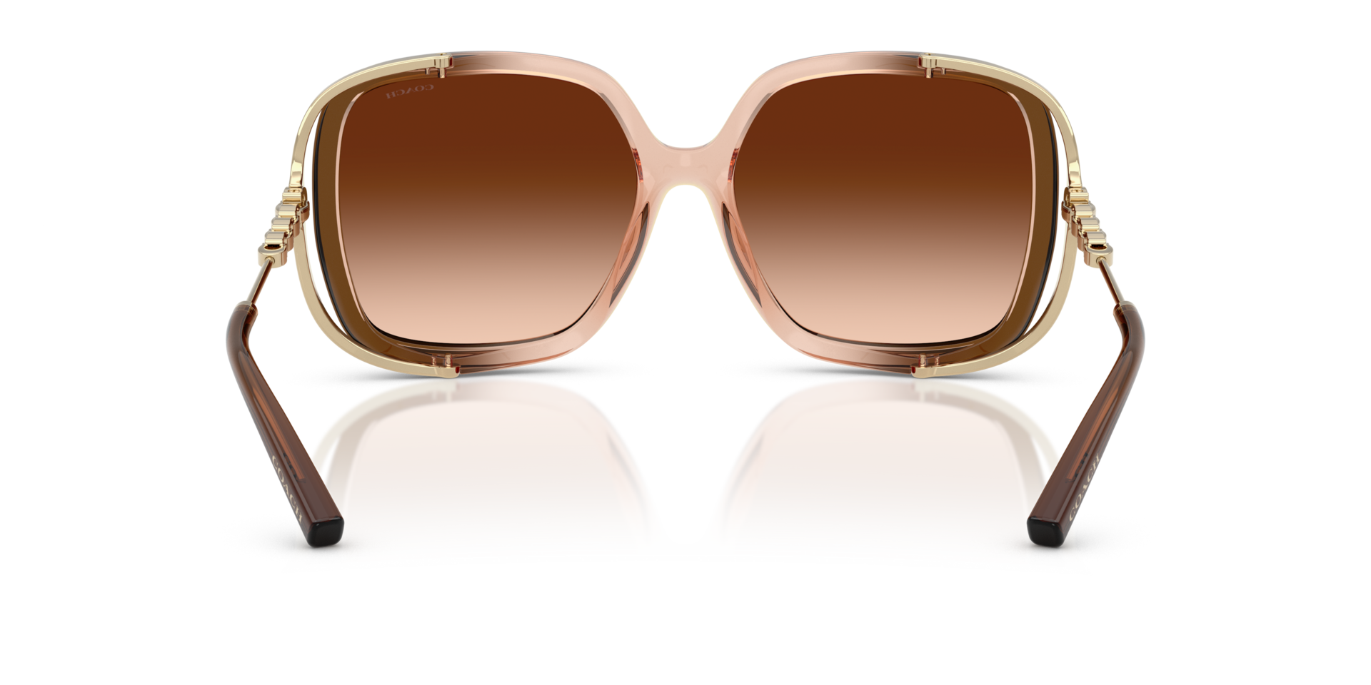 0HC8423U-Coach Sunwear-Brown Gradient