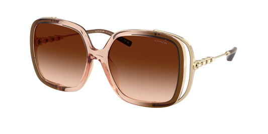 0HC8423U-Coach Sunwear-Brown Gradient