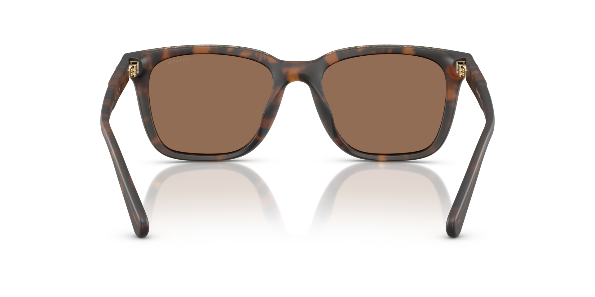 0HC8426U-Coach Sunwear-Matte Dark Tortoise