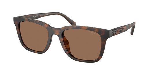 0HC8426U-Coach Sunwear-Matte Dark Tortoise