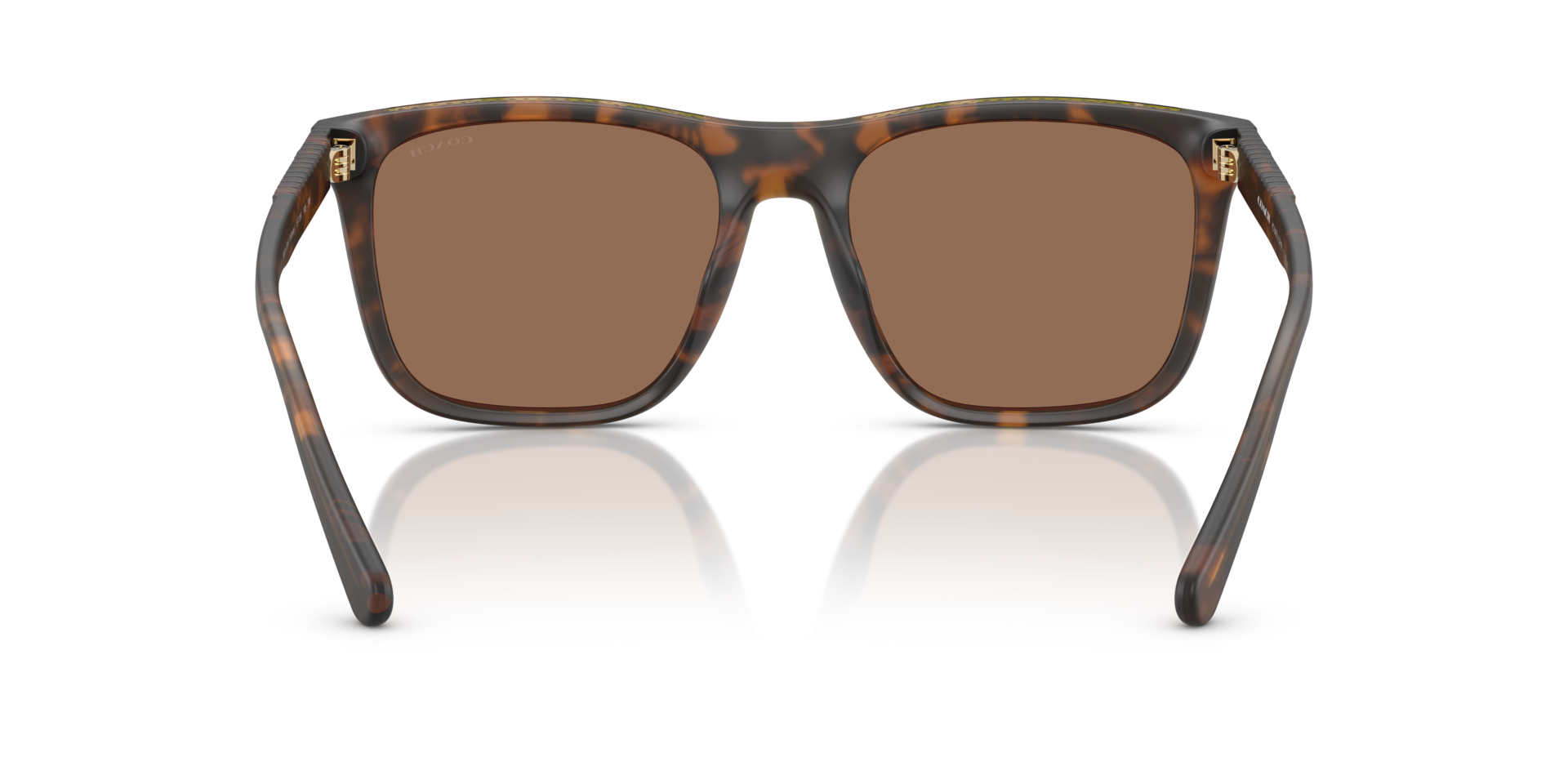 0HC8427U-Coach Sunwear-Matte Dark Tortoise