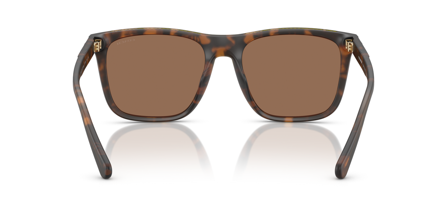 0HC8427U-Coach Sunwear-Matte Dark Tortoise