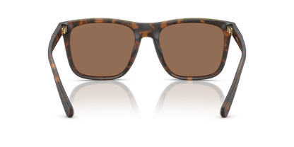 0HC8427U-Coach Sunwear-Matte Dark Tortoise