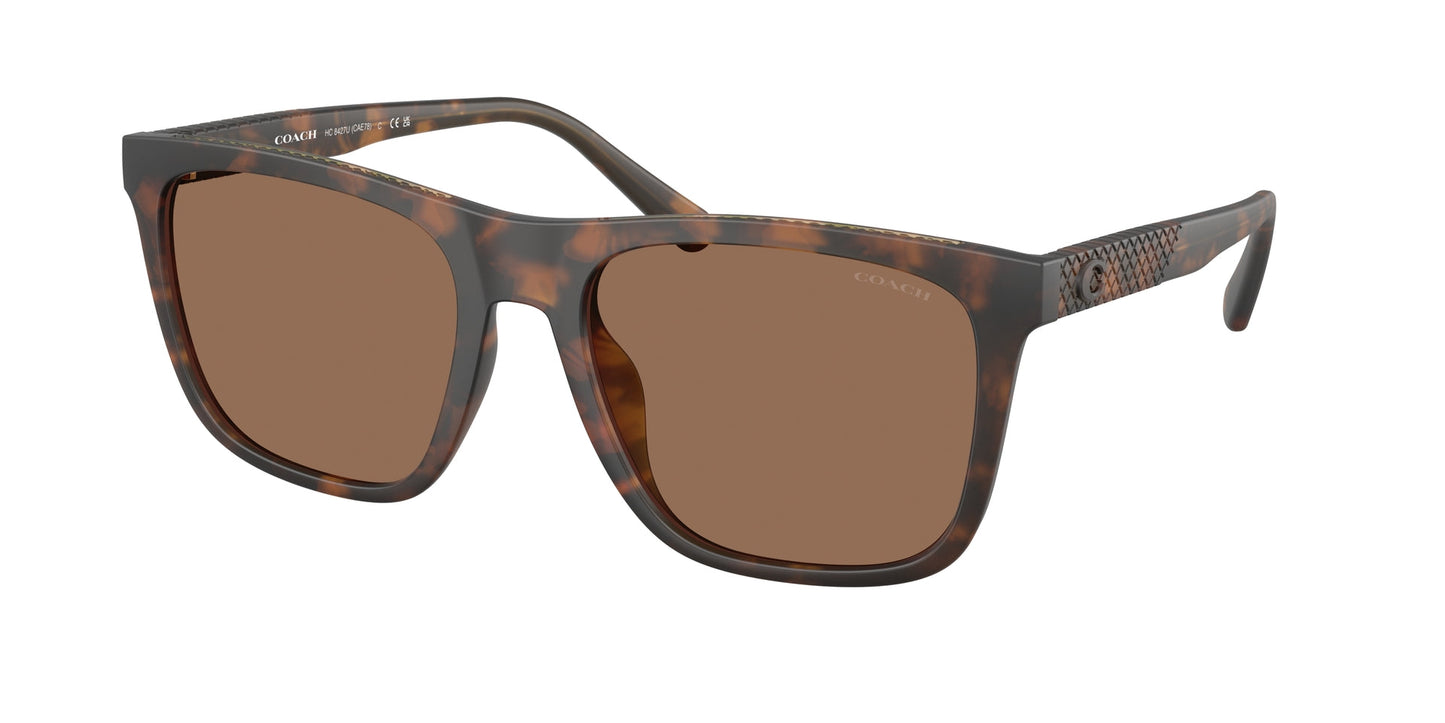 0HC8427U-Coach Sunwear-Matte Dark Tortoise