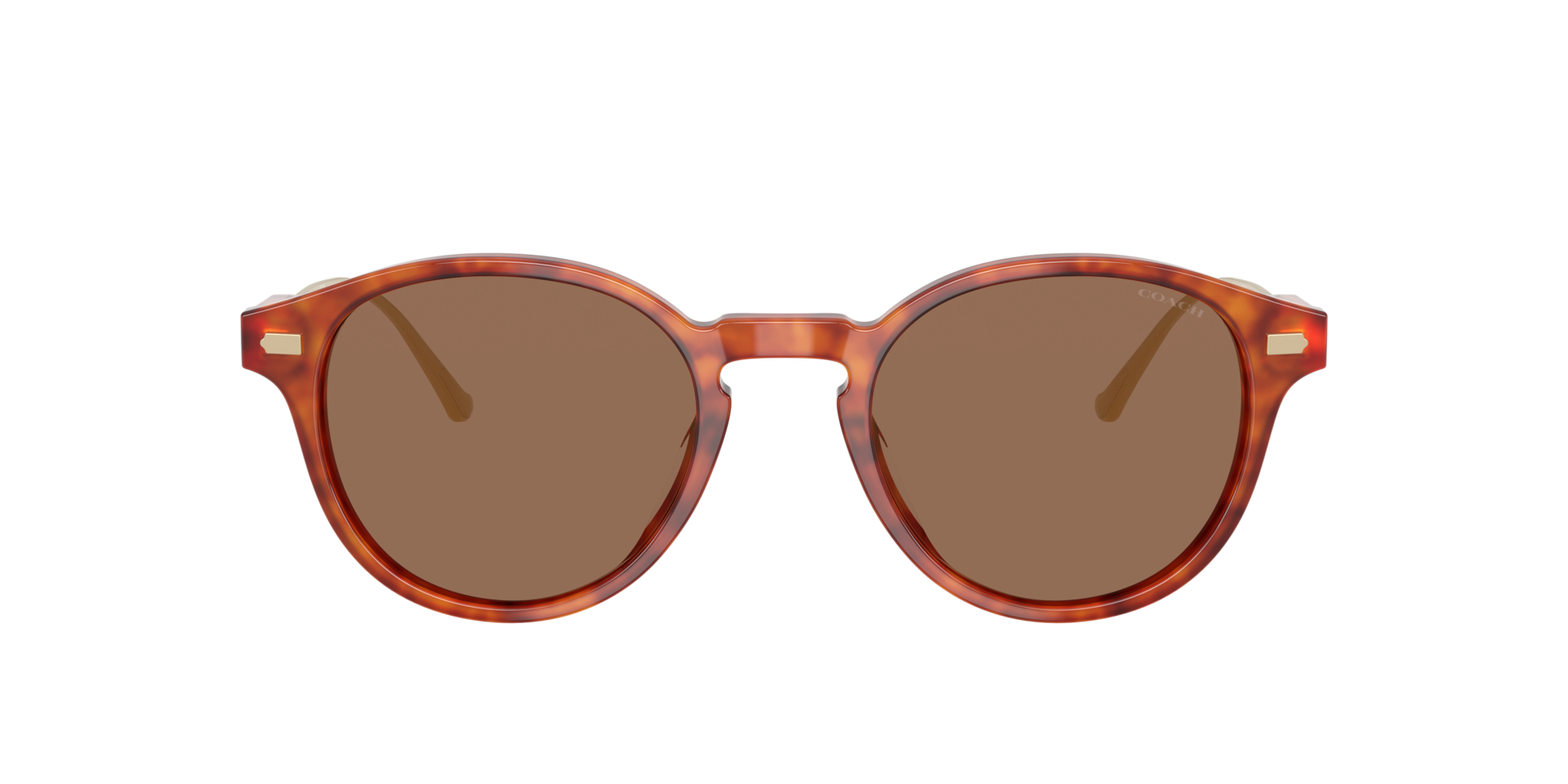 0HC8428U-Coach Sunwear-Caramel Tortoise