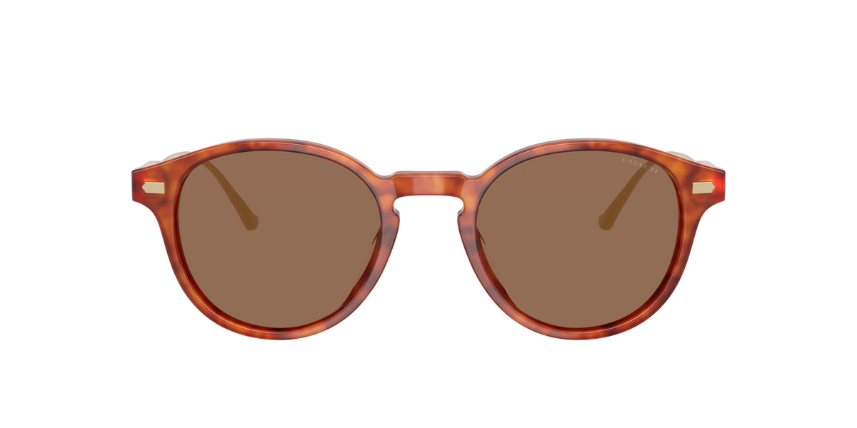 0HC8428U-Coach Sunwear-Caramel Tortoise