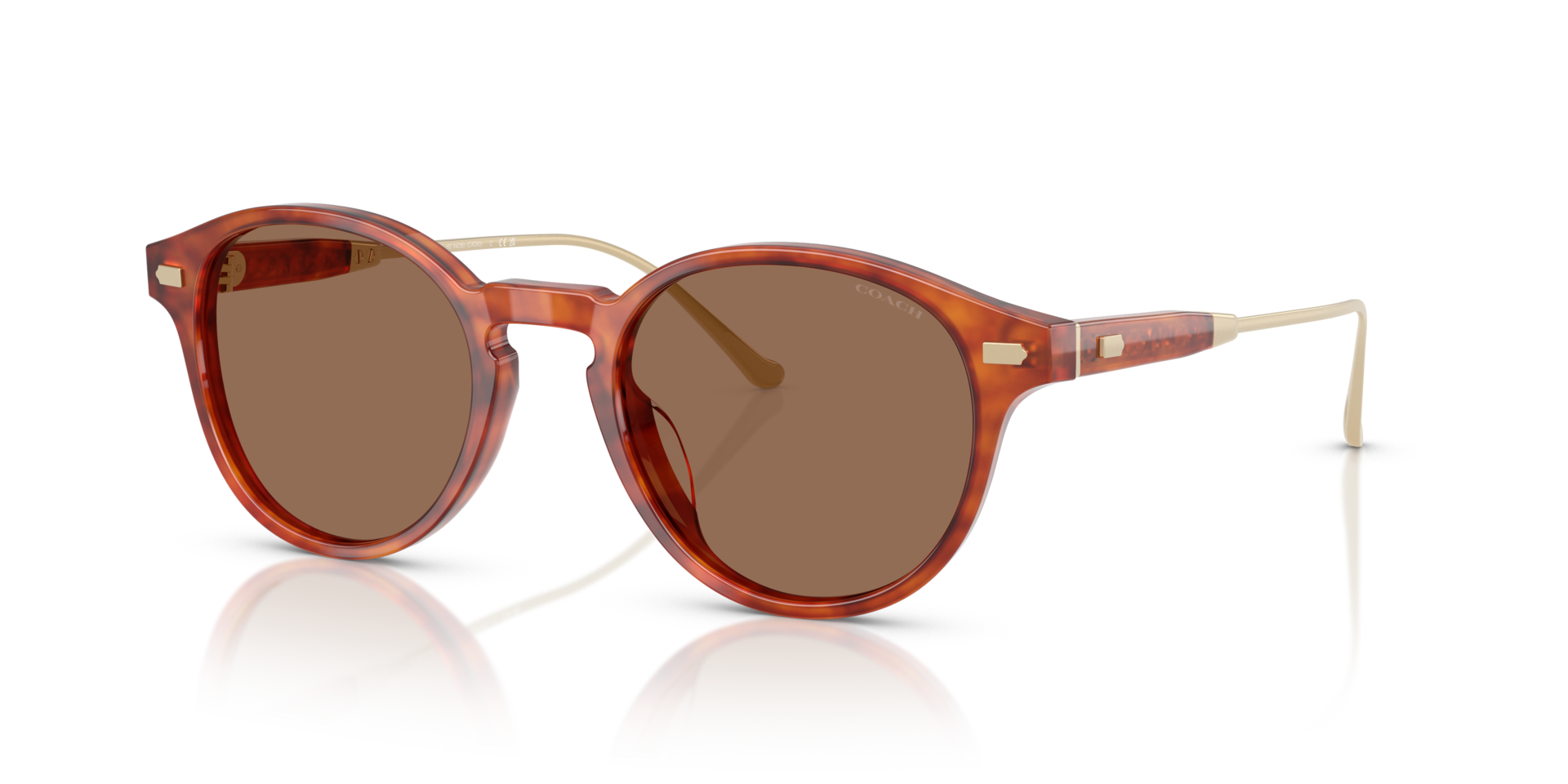 0HC8428U-Coach Sunwear-Caramel Tortoise