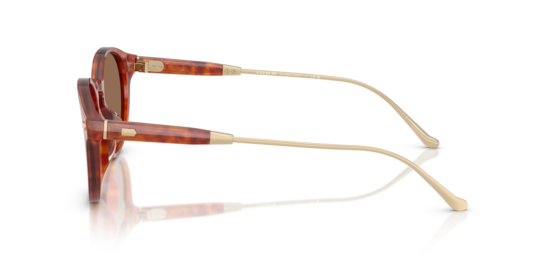 0HC8428U-Coach Sunwear-Caramel Tortoise