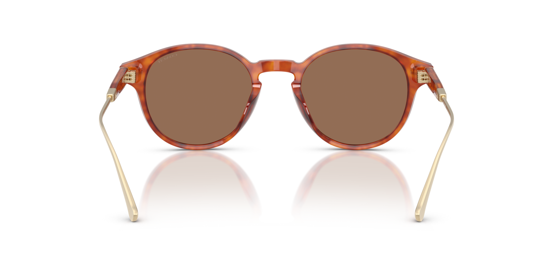 0HC8428U-Coach Sunwear-Caramel Tortoise