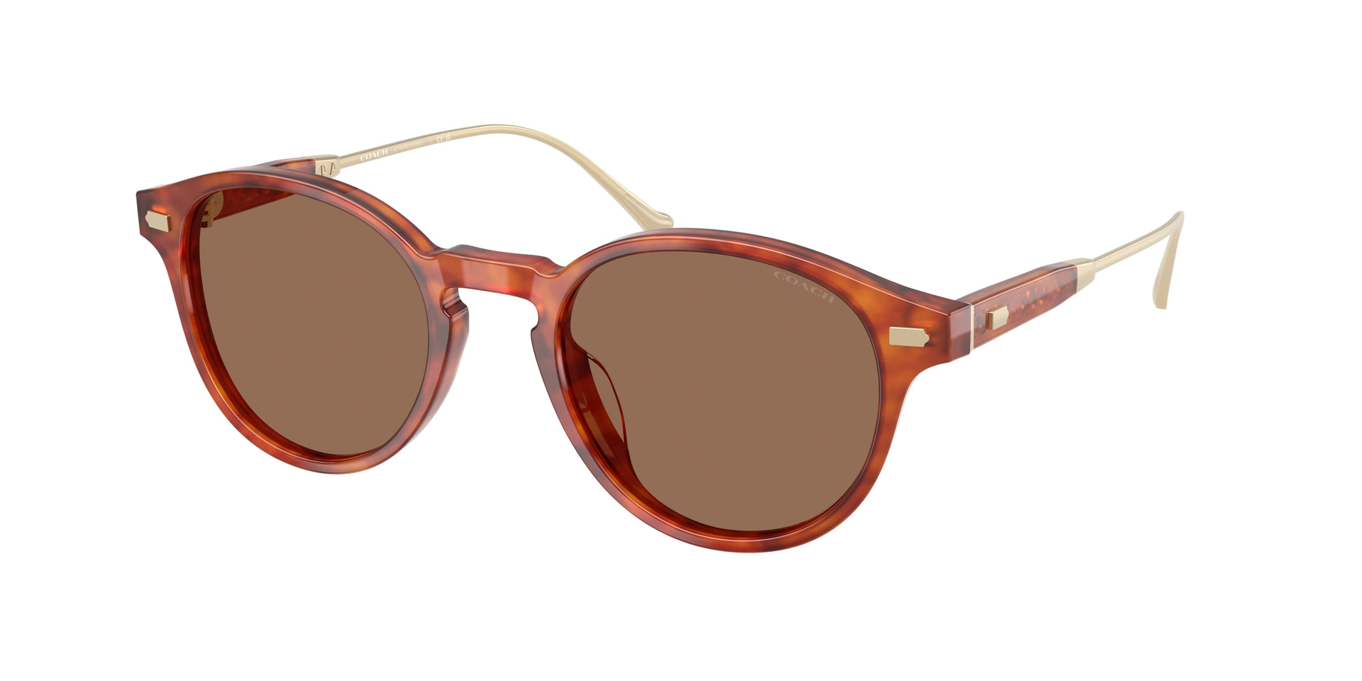 0HC8428U-Coach Sunwear-Caramel Tortoise