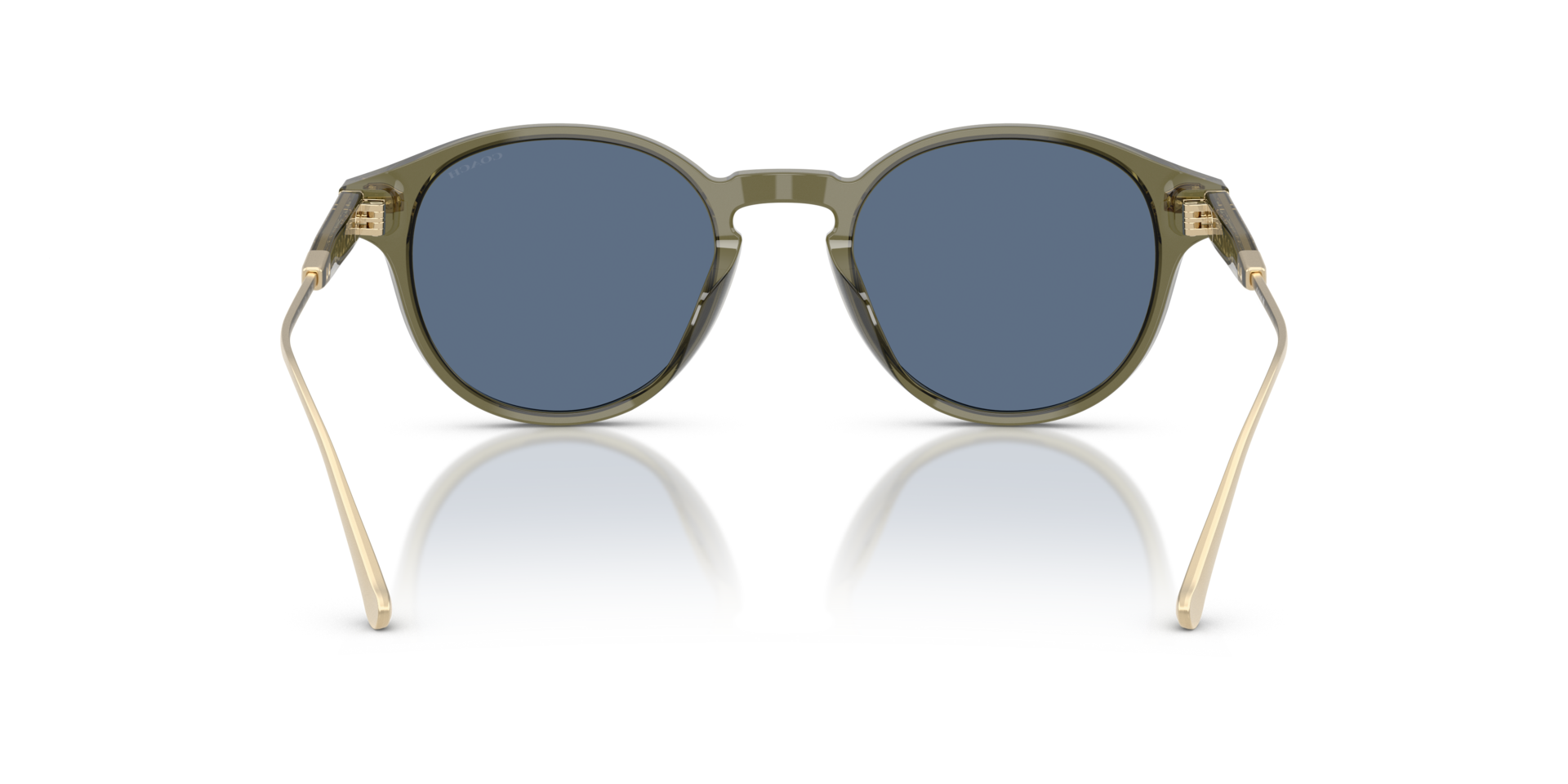 0HC8428U-Coach Sunwear-Transparent Olive