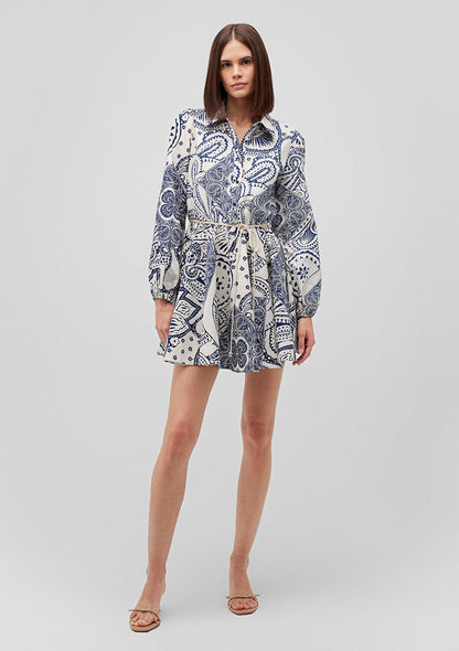 Printed Pleated Dress